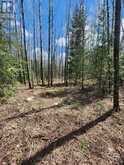 CON 1 N PT LOT 3 MCCART | Iroquois Falls Ontario | Slide Image Five