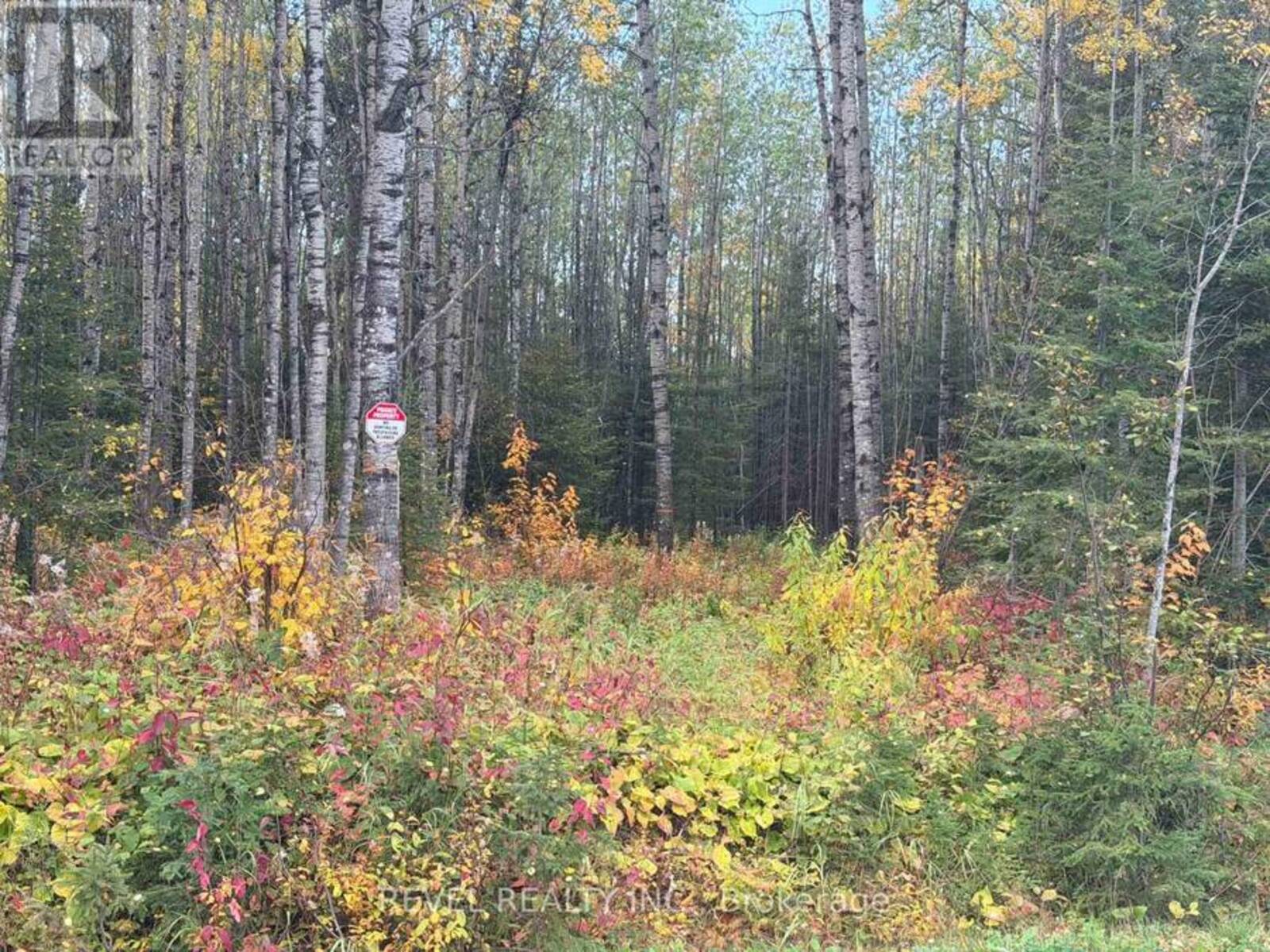 CON 1 N PT LOT 3 MCCART, Iroquois Falls, Ontario P0K 1E0