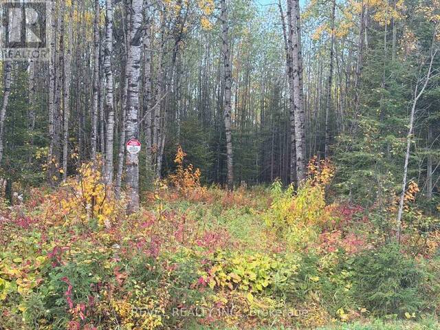 CON 1 N PT LOT 3 MCCART Iroquois Falls Ontario, P0K 1E0 - Vacant Land For Sale