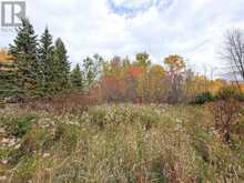 PCL 11680 SEC SRO LT 42 | Iroquois Falls Ontario | Slide Image Three