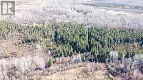 2062 NORTH ROAD | Black River-Matheson Ontario | Slide Image Fifteen