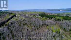 973293 HIGHWAY 567 | Temiskaming Shores Ontario | Slide Image Thirty-nine