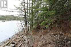 1831 HWY 71|Sabaskong Bay, Lake of the Woods | Nestor Falls Ontario | Slide Image Fourteen