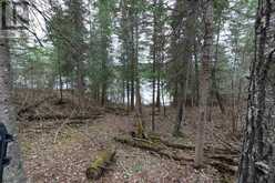 1831 HWY 71|Sabaskong Bay, Lake of the Woods | Nestor Falls Ontario | Slide Image Eighteen