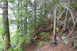 1831 HWY 71|Sabaskong Bay, Lake of the Woods | Nestor Falls Ontario | Slide Image Twenty-three