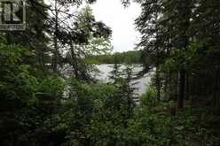 1831 HWY 71|Sabaskong Bay, Lake of the Woods | Nestor Falls Ontario | Slide Image Twenty-four