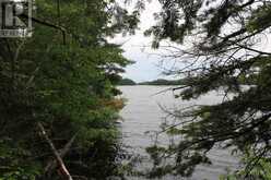 1831 HWY 71|Sabaskong Bay, Lake of the Woods | Nestor Falls Ontario | Slide Image Twenty-nine