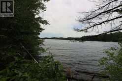 1831 HWY 71|Sabaskong Bay, Lake of the Woods | Nestor Falls Ontario | Slide Image Thirty-three