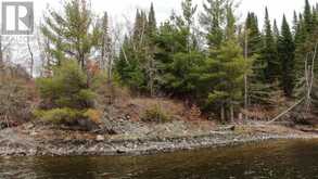 1831 HWY 71|Sabaskong Bay, Lake of the Woods | Sioux Narrows-Nestor Falls Ontario | Slide Image Two