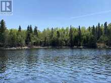 LOT 7 BIG NARROWS ISLAND LAKE OF THE WOODS | Kenora Ontario | Slide Image Three