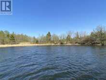 LOT 13 BIG NARROWS ISLAND LAKE OF THE WOODS | Kenora Ontario | Slide Image Three