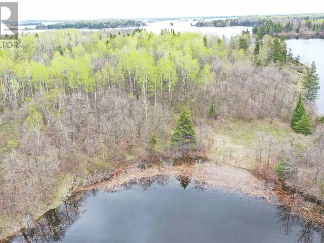 LOT 14 BIG NARROWS ISLAND LAKE OF THE WOODS Kenora Ontario, P0X 1C0