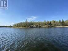 LOT 16 BIG NARROWS ISLAND LAKE OF THE WOODS | Kenora Ontario | Slide Image Eight