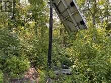 Cabin on Snake Bay | Sioux Narrows Ontario | Slide Image Fifty