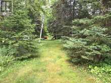 Lot 10 Bear Paw Trail | Kenora Ontario | Slide Image Twenty-six