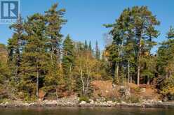 2 Whitefish Bay Island 19 | Sioux Narrows Ontario | Slide Image Forty-eight
