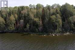 LOT 16 HANSENS BAY LAKE OF THE WOODS | Kenora Ontario | Slide Image Thirteen