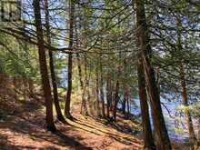 5 Hay Island|Lake of the Woods | S of Kenora Ontario | Slide Image Twenty-nine