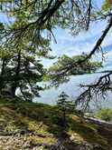 5 Hay Island|Lake of the Woods | S of Kenora Ontario | Slide Image Forty-two