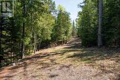 Lot 4 Crow Lake | Sioux Narrows-nestor Falls Ontario | Slide Image Twenty-four