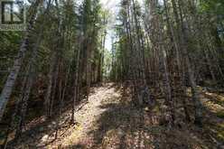 Lot 4 Crow Lake | Sioux Narrows-nestor Falls Ontario | Slide Image Twenty-five