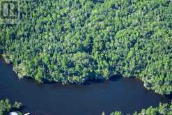 pt 305P Treaty Island|Red Wing Bay, Treaty Island | SW of Kenora Ontario | Slide Image Sixteen