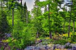 8 Five Point Island|Lake of the Woods | South of Kenora Ontario | Slide Image Twenty