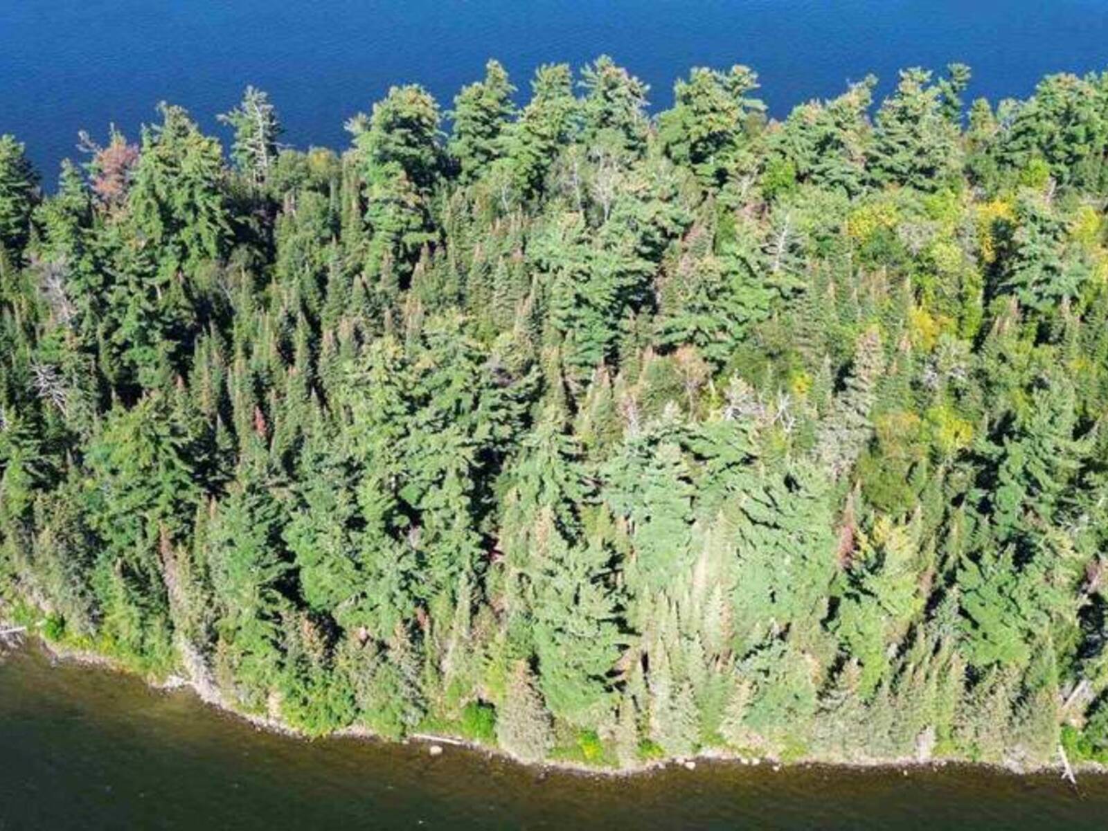 3 Five Point Island|Lake of the Woods, South of Keewatin, Ontario P0X 1C0