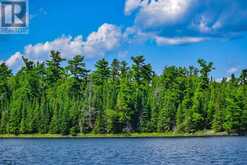 2 Five Point Island|Lake of the Woods | South of Kenora Ontario | Slide Image Four