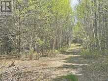 PCL 26819 Purdom Lake | Nipigon Ontario | Slide Image Six