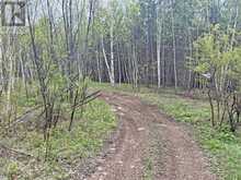 PCL 26819 Purdom Lake | Nipigon Ontario | Slide Image Seven