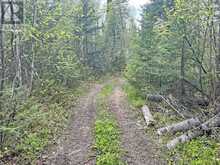 PCL 26819 Purdom Lake | Nipigon Ontario | Slide Image Nine