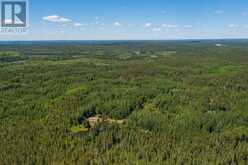 1 BEAR CAMP | Kenora Ontario | Slide Image Fourteen