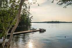 0 Queen Bee Island | Kenora Ontario | Slide Image Ten