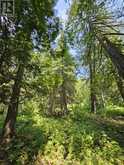 1 Snake bay | Sioux Narrows Ontario | Slide Image Twenty