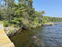 Lot 4 Wolf Island | Kenora Ontario | Slide Image Twenty