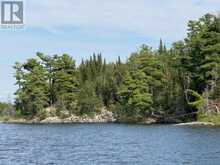 PARTS 4 AND 11 DORION ISLAND | Kenora Ontario | Slide Image Three