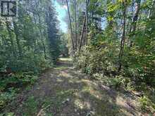 Lot 17,19,20 LOTW | Kenora Ontario | Slide Image Seven