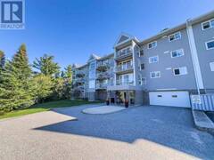 302 471 Lakeview DR Kenora Ontario, P9N 4G7