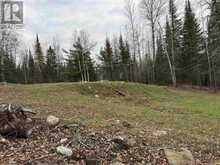 LOT 27 BERGMAN ROAD EVA LAKE | Atikokan Ontario | Slide Image Eleven