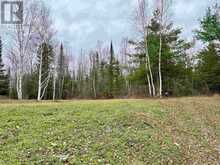 LOT 27 BERGMAN ROAD EVA LAKE | Atikokan Ontario | Slide Image Fifteen