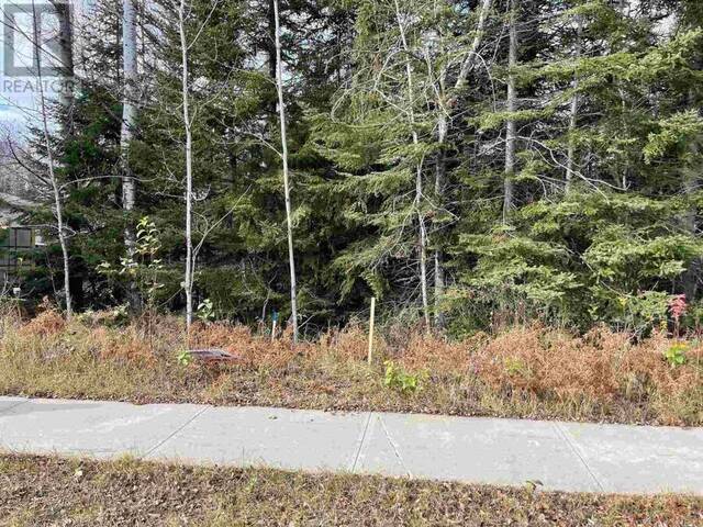 837 Hodder AVE Thunder Bay Ontario, P7A 1W3 - Vacant Land For Sale