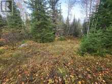 0 Polly LK | Nipigon Ontario | Slide Image Twenty-two