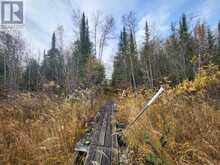 0 Polly LK | Nipigon Ontario | Slide Image Six