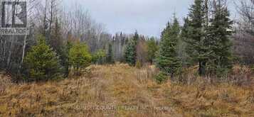 PIN #420950063 HWY 17 N | Kenora Ontario | Slide Image One