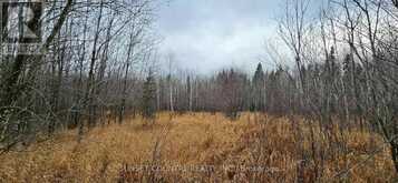 PIN #420950063 HWY 17 N | Kenora Ontario | Slide Image Two