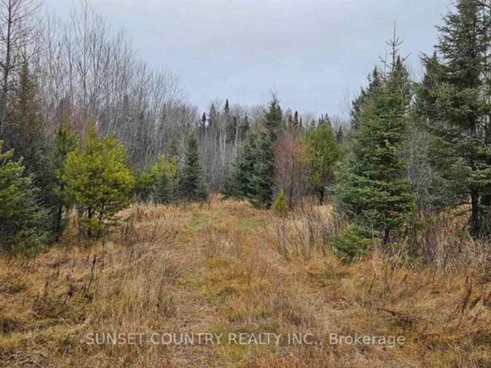 PIN #420950063 HWY 17 N, Kenora, Ontario P0V 1P0