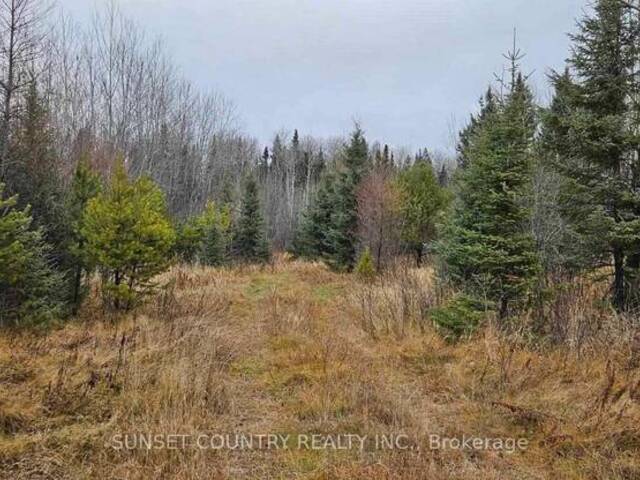 PIN #420950063 HWY 17 N Kenora Ontario, P0V 1P0 - Vacant Land For Sale