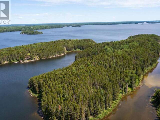 1 VIKING ISLAND EAGLE LAKE Keewatin Ontario, P0X 1C0 - Waterfront For Sale