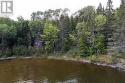 LOT 16 PART 2 BRULE POINT | Kenora Ontario | Slide Image Three